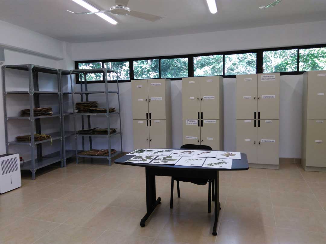 Galeria del observatorio de herbario